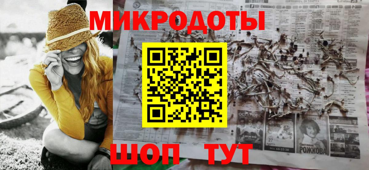 Галлюциногенные грибы Psilocybe Чита