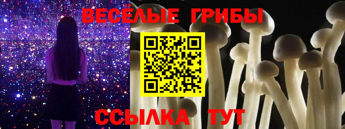 Чита  Псилоцибиновые грибы GOLDEN TEACHER  Вход с VPN 